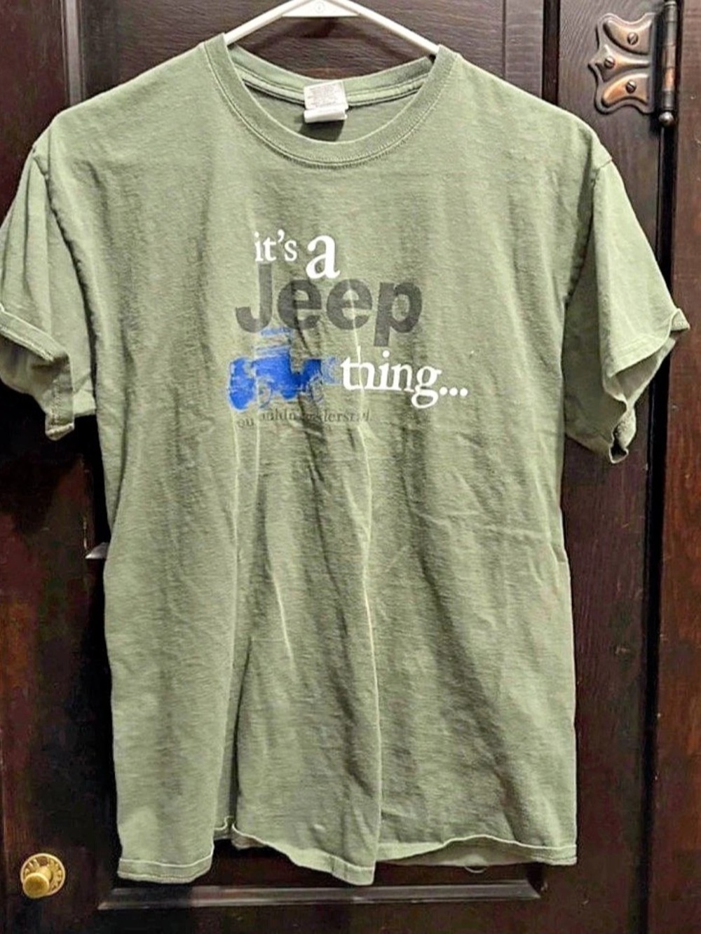 (200) Gildan Jeep It's a Jeep Thing Graphic T-Shirt Green Medium